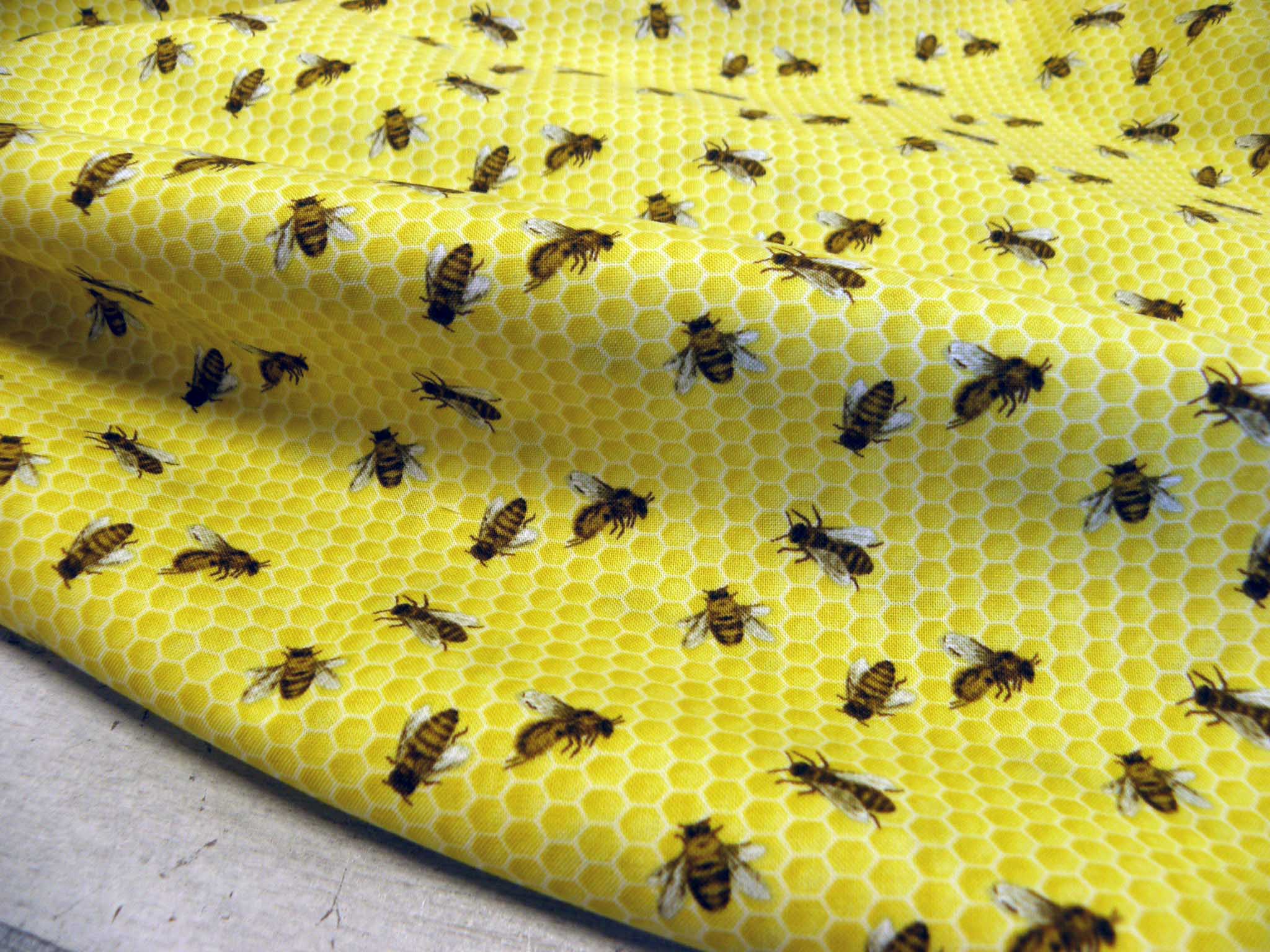 LÁTKA - VČELIČKY - PLÁSTVE