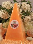 Exotic mango - Jehlan 165