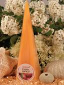 Exotic mango - Jehlan 175