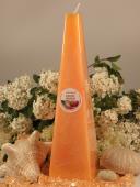 Exotic mango - Jehlan 260