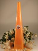 Exotic mango - Jehlan 420