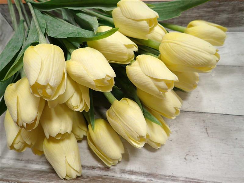 TULIPÁNY - SVĚTLE ŽLUTÉ