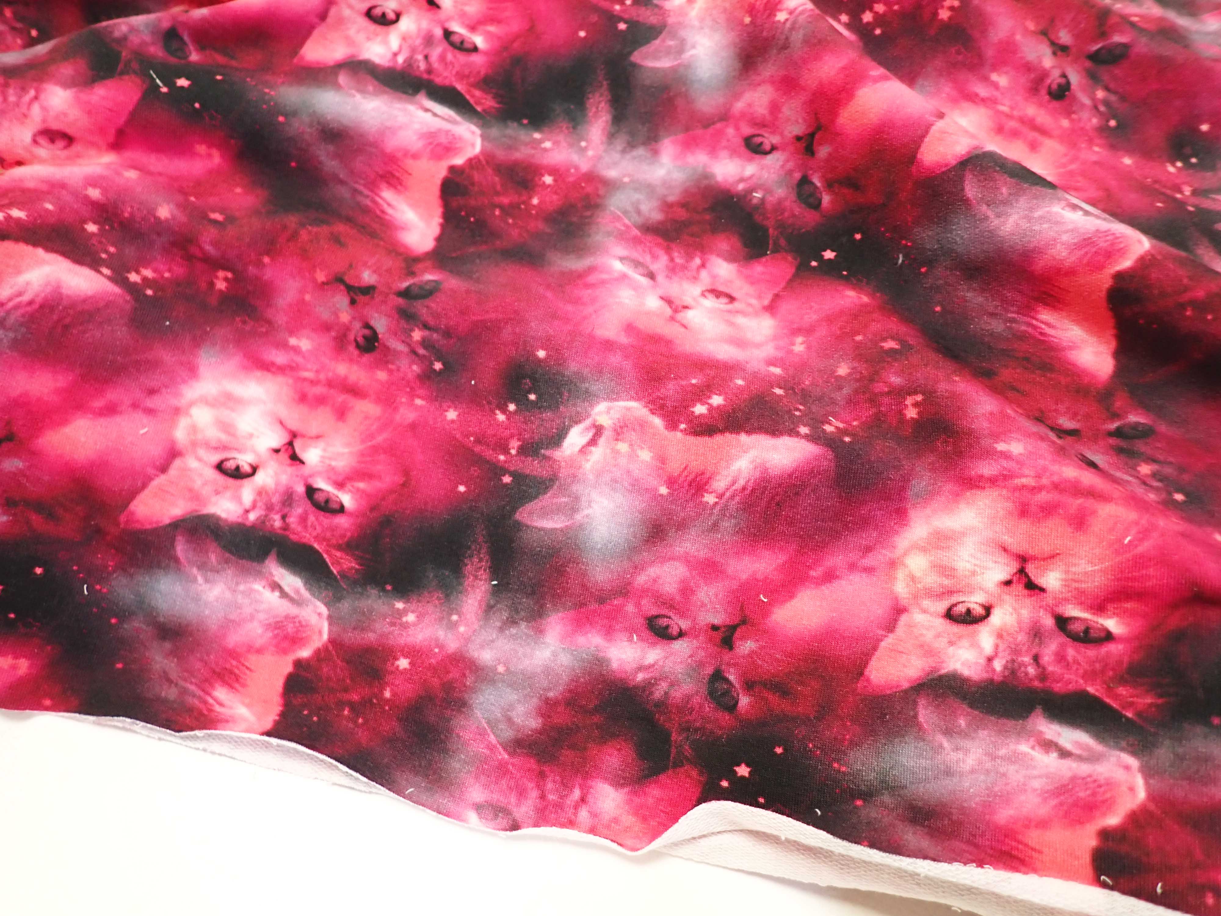 TEPLÁKOVINA - FOTOTISK - KOČKY