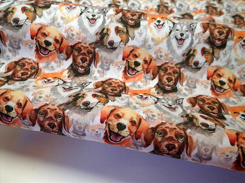 LÁTKA - FOTOTISK - PEJSKOVÉ