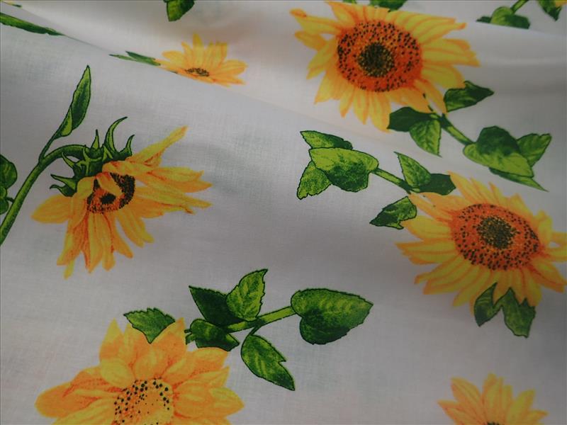 LÁTKA - SLUNEČNICE