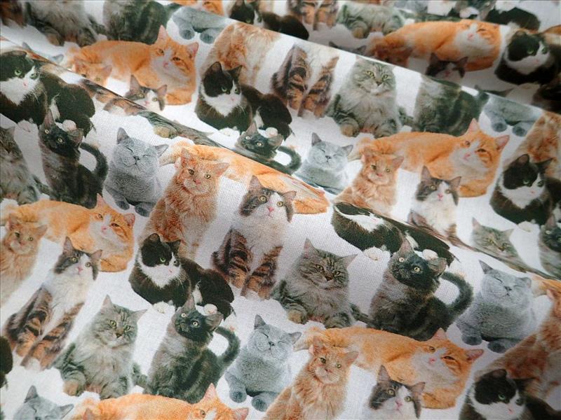 LÁTKA - KOČKY - FOTOTISK