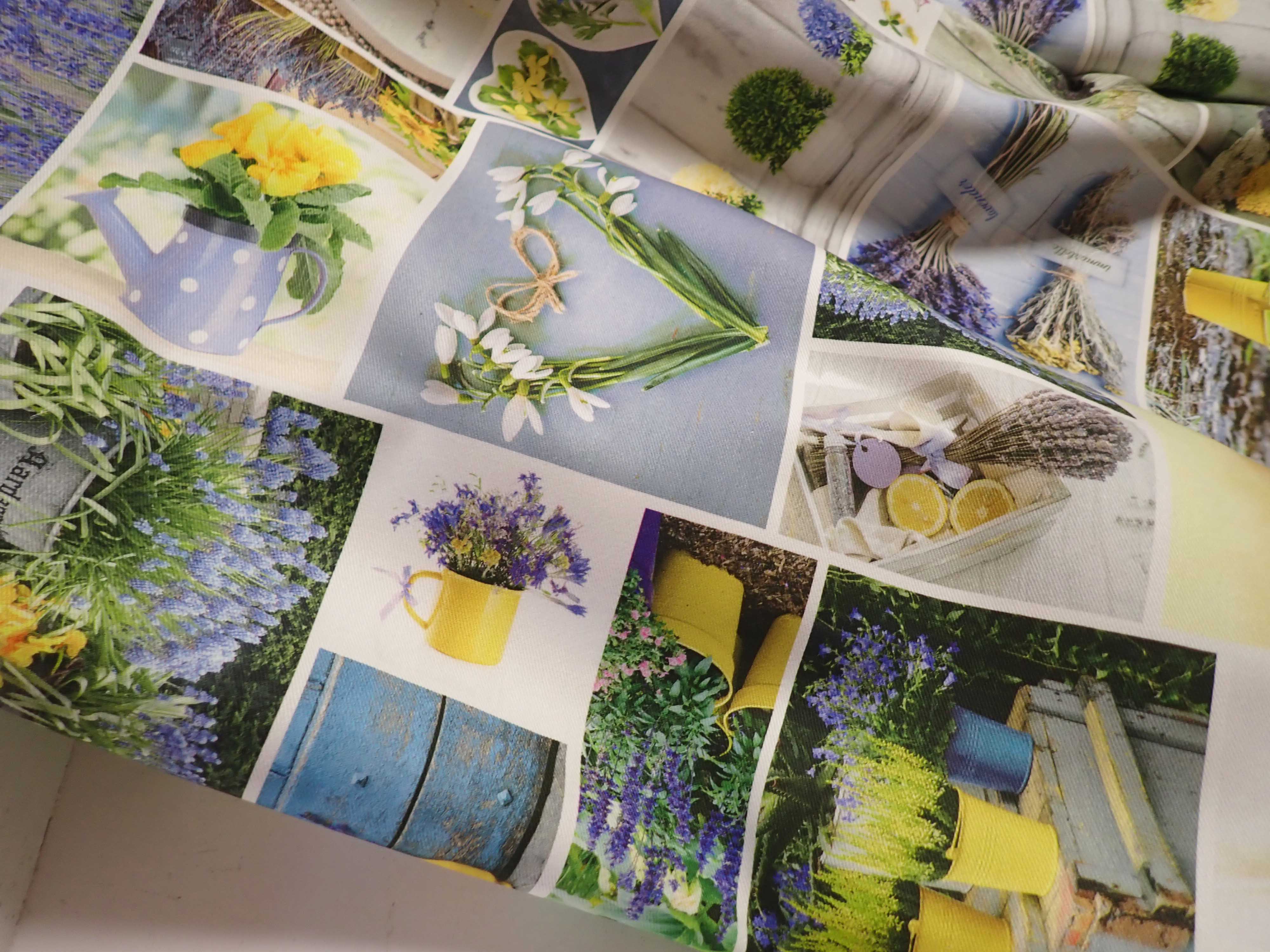 LÁTKA - FOTOTISK - KYTIČKY