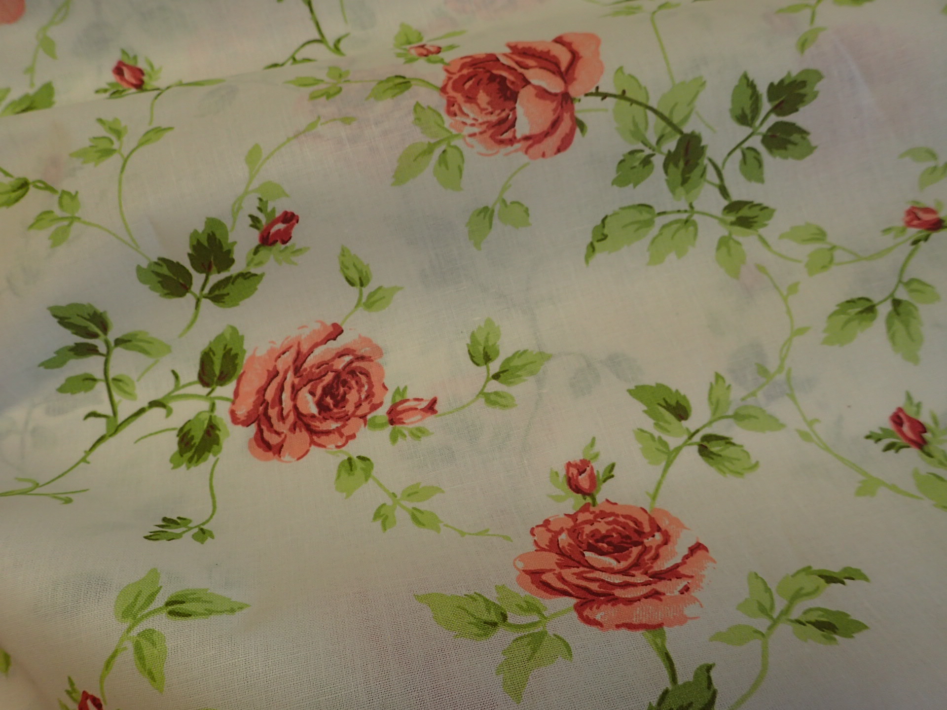 LÁTKA - STARORŮŽOVÉ RŮŽIČKY