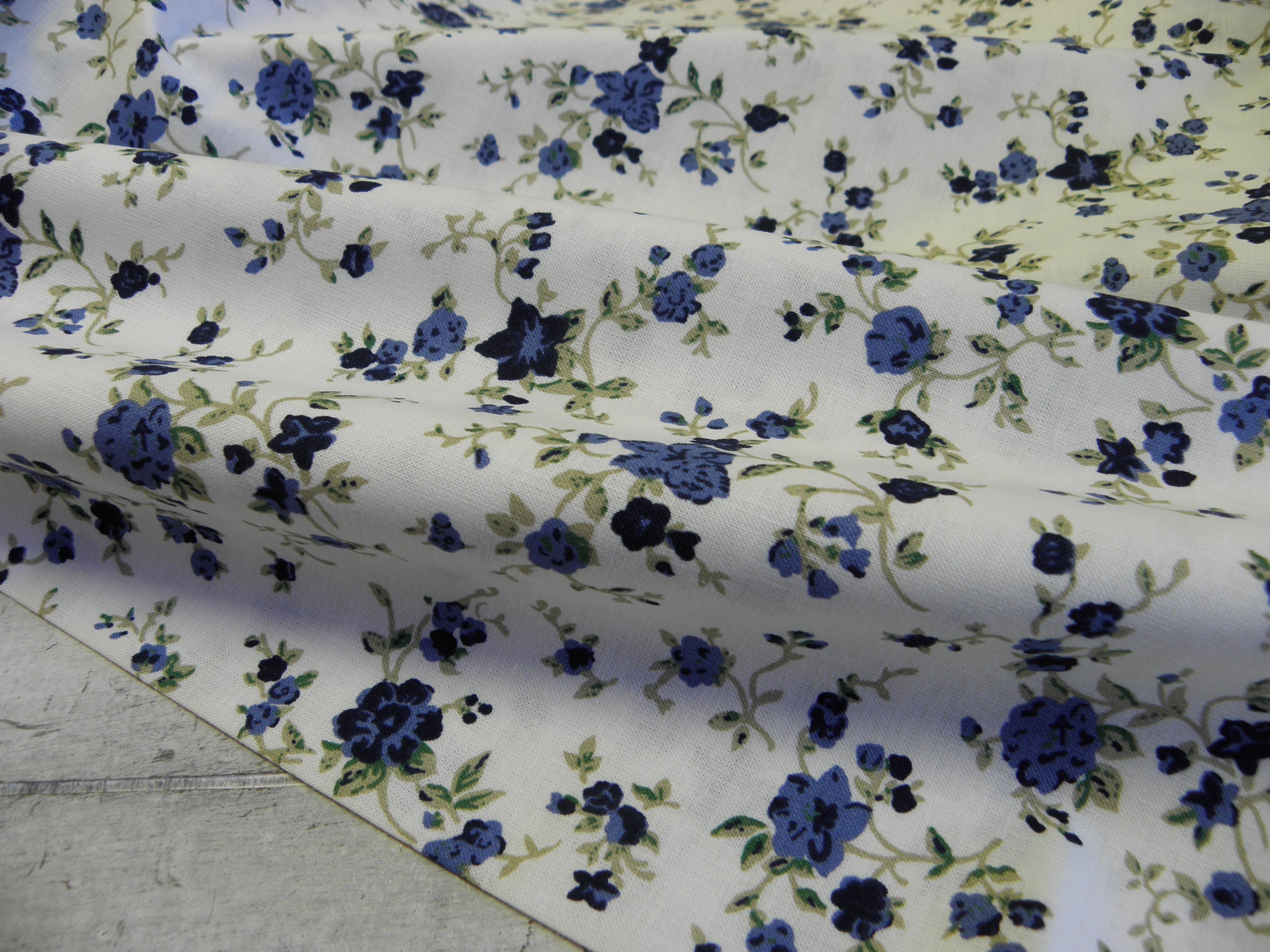 LÁTKA - MODRÉ KYTIČKY