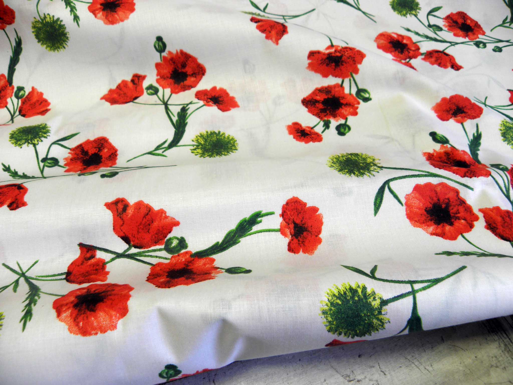 LÁTKA - VLČÍ MÁKY