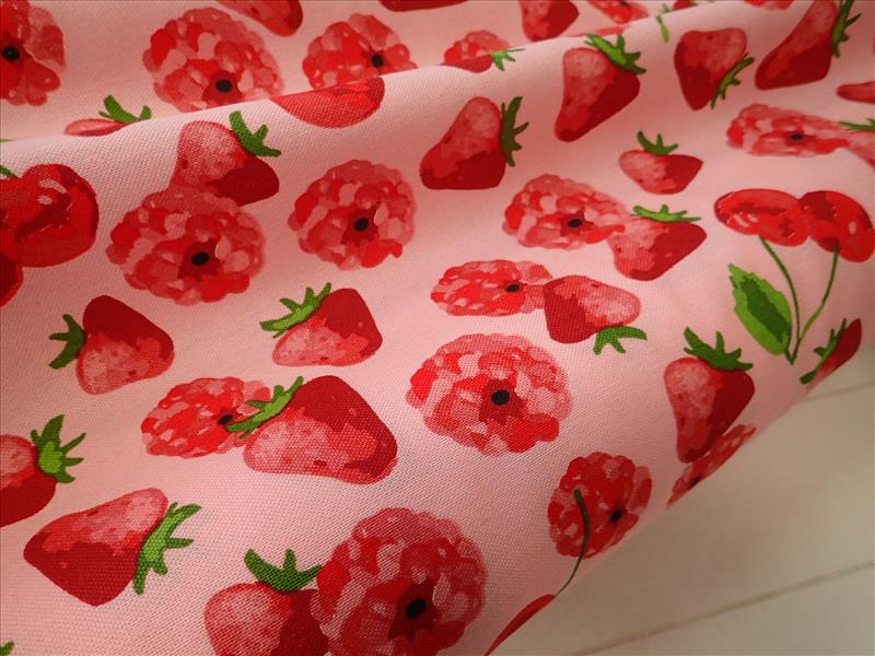 LÁTKA - POTAHOVKA - JAHŮDKY + MALINY