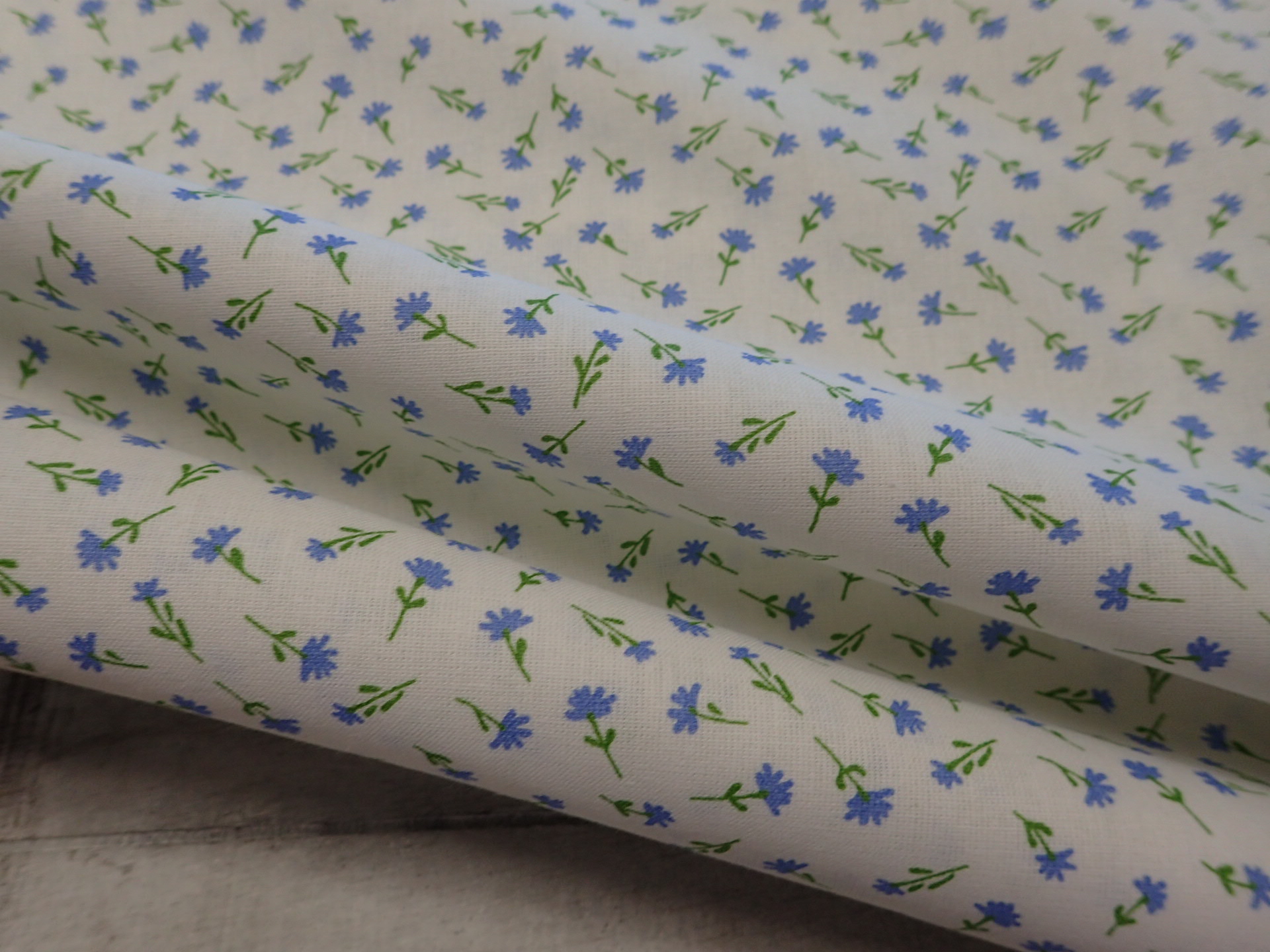 LÁTKA - MODRÉ KYTIČKY