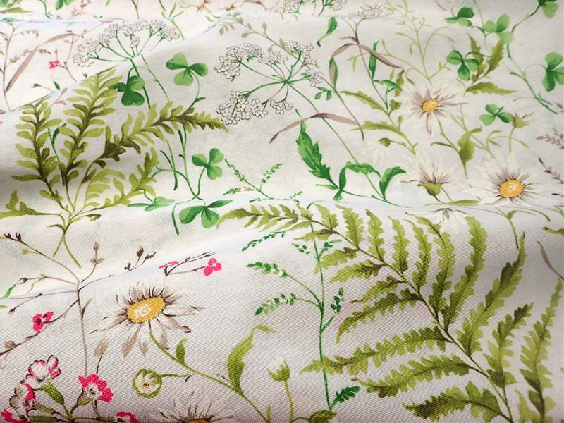 LÁTKA - POTAHOVKA - KYTIČKY + KAPRADÍ - LOUKA