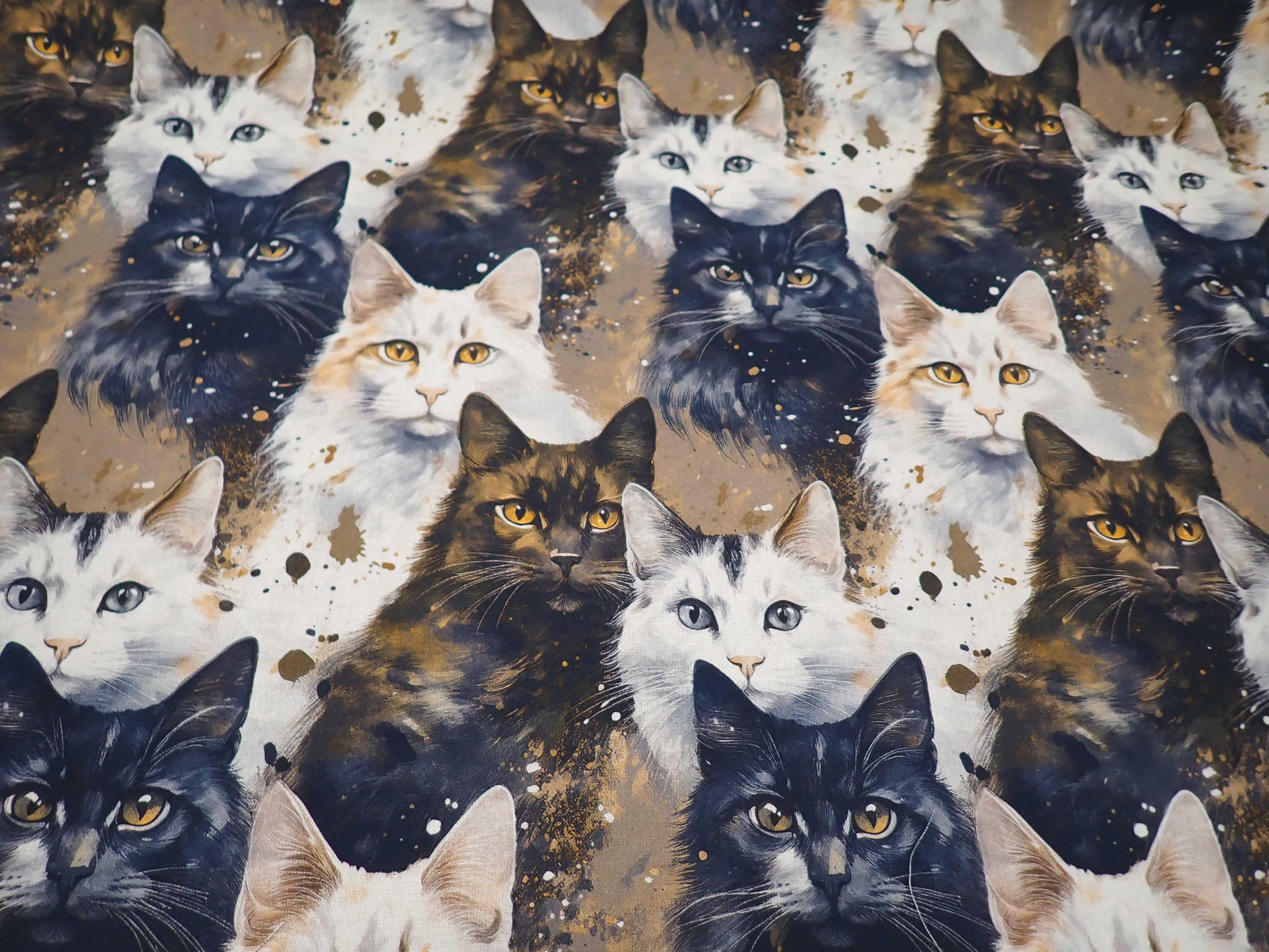 LÁTKA - FOTOTISK - KOČKY