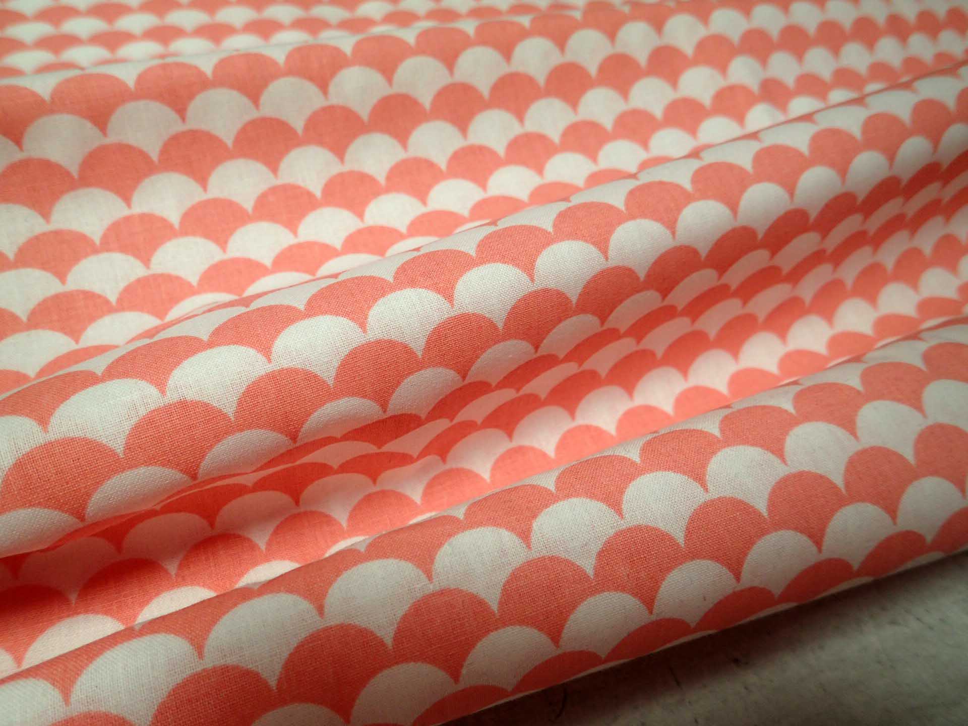 LÁTKA - LOSOSOVÉ OBLOUČKY