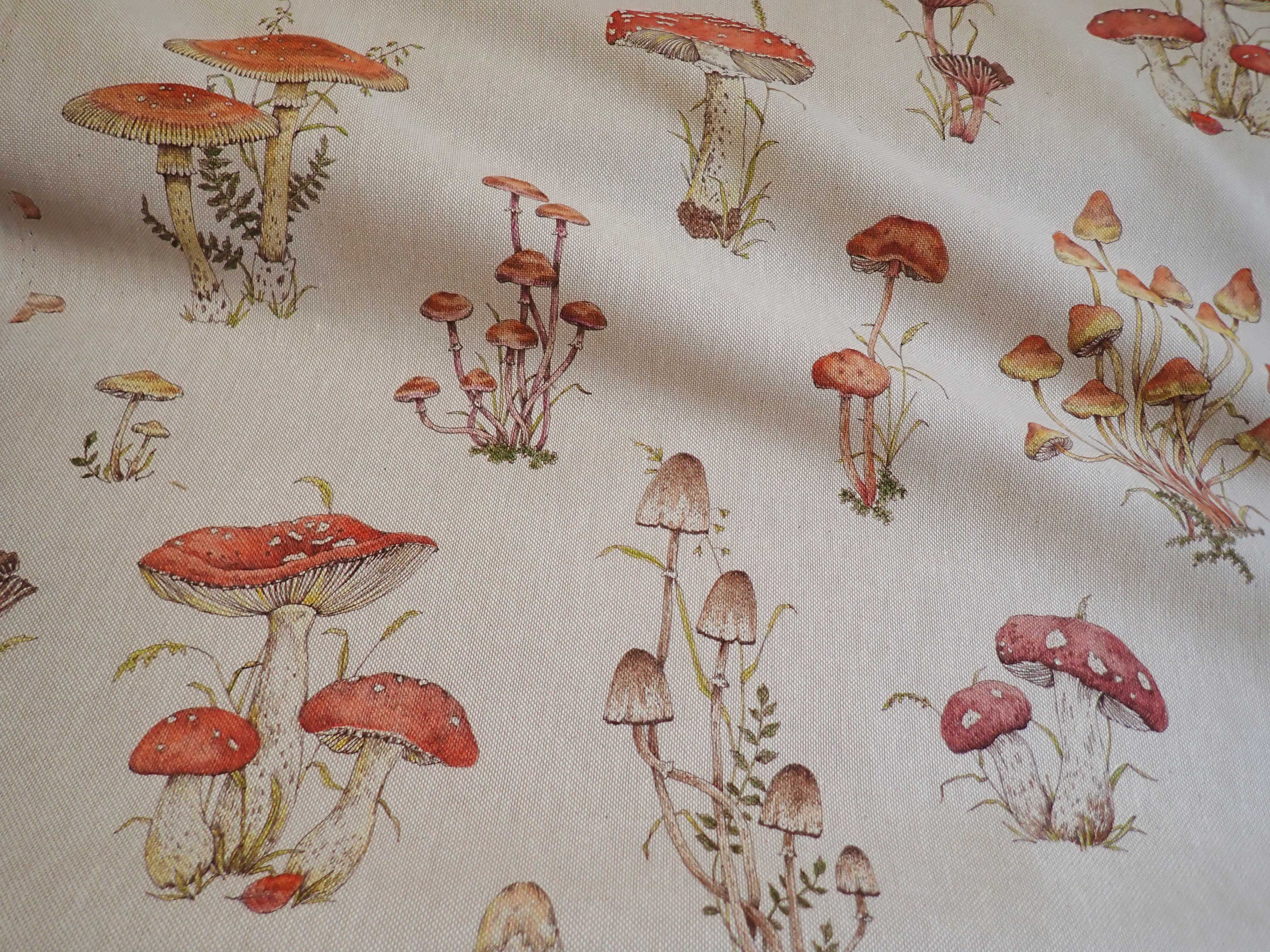 LÁTKA - REŽNÁ - FOTOTISK - HOUBY