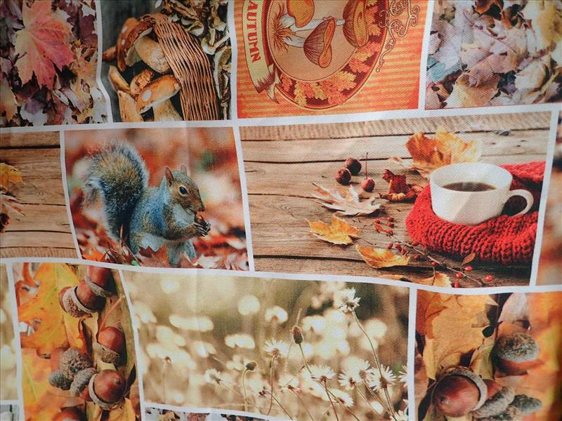 FOTOTISK - DIGITÁLNÍ TISK - PODZIMNÍ