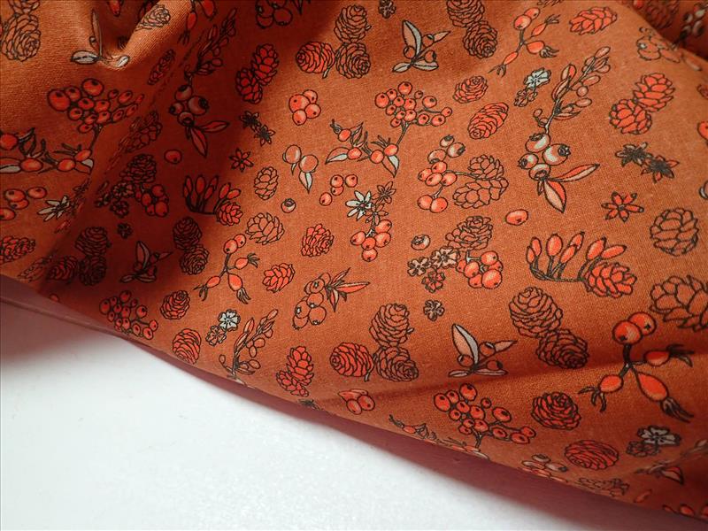 LÁTKA - SKOŘICOVÁ - ŠIŠKY + PLODY